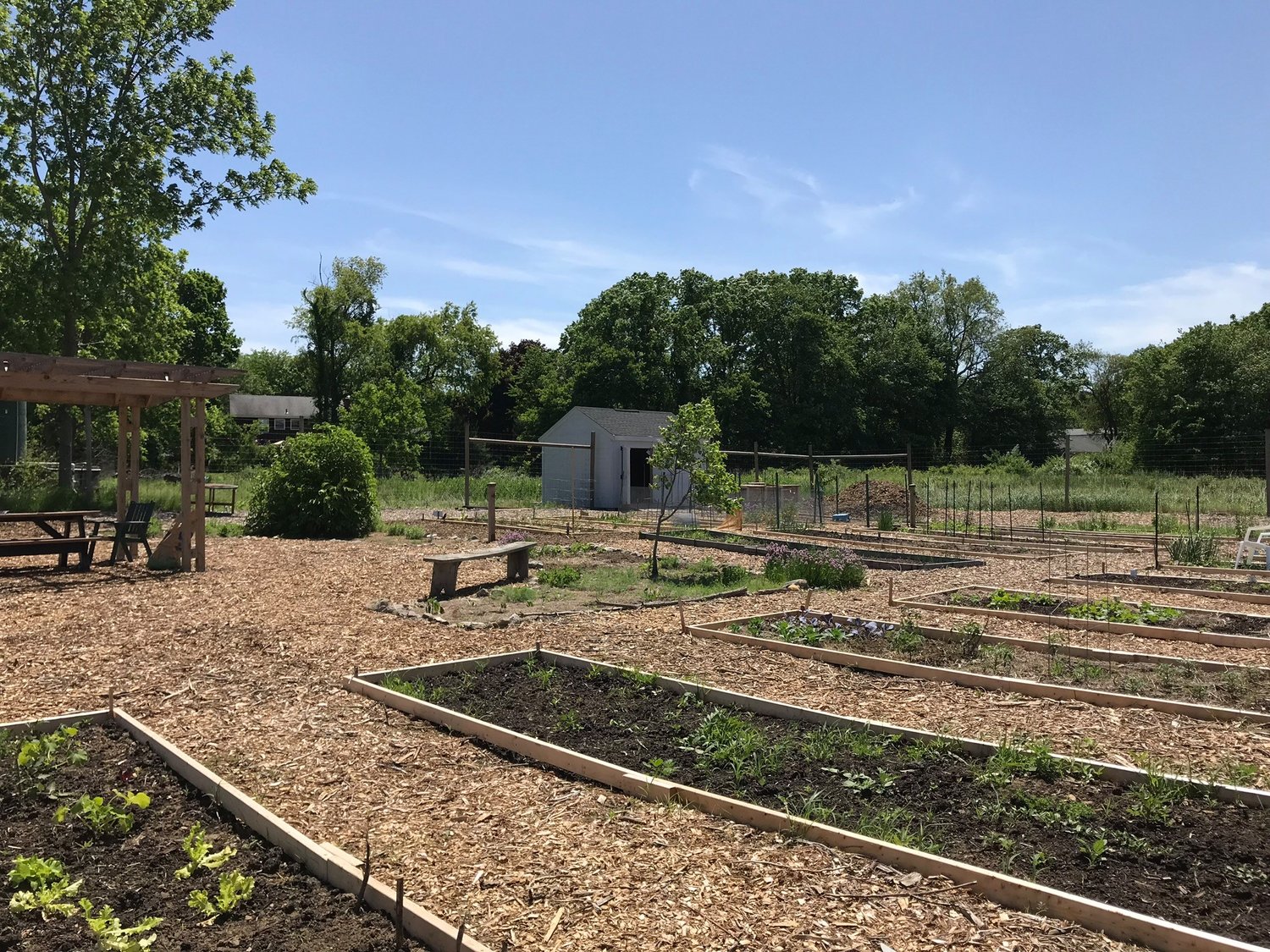 Registration opens for 2022 season at Barrington Community Garden 